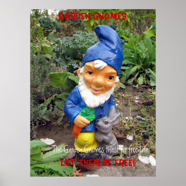 Póster Liberen a los gnomos del jardín (Frente)