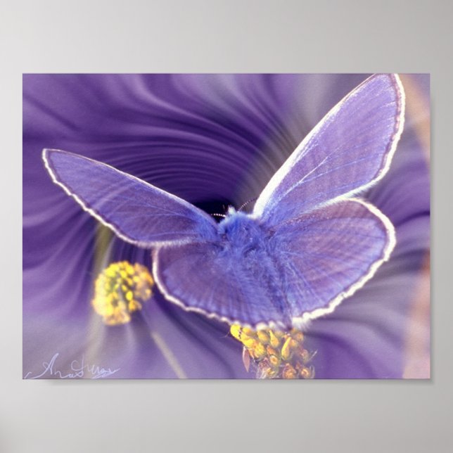 Póster Libertad (Frente)