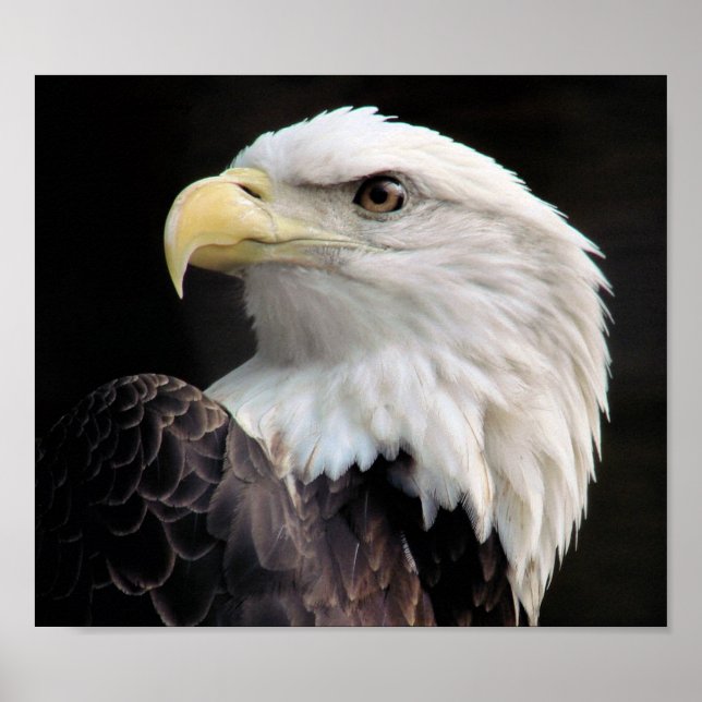 Póster Libertad (Frente)