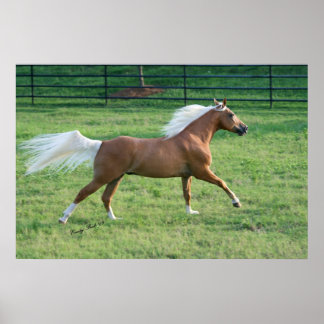 Póster Libertad alegre