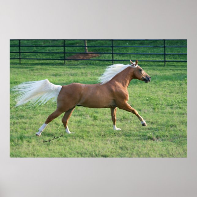 Póster Libertad alegre (Frente)