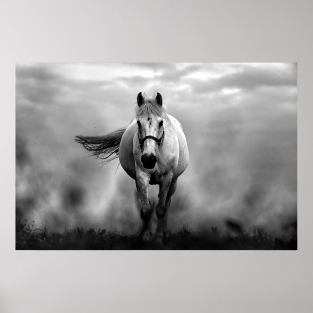 Póster Libertad de caballo blanco y negro (Frente)