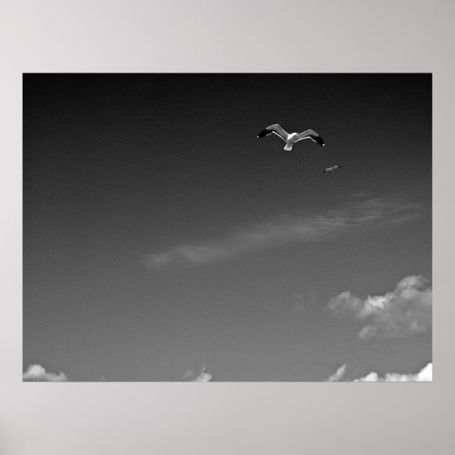 Póster Libertad en BW (Frente)