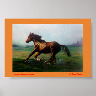 Póster Libertad/Liberdade/Freedom