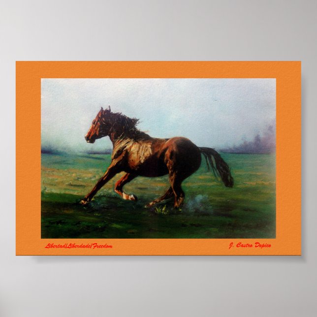 Póster Libertad/Liberdade/Freedom (Frente)