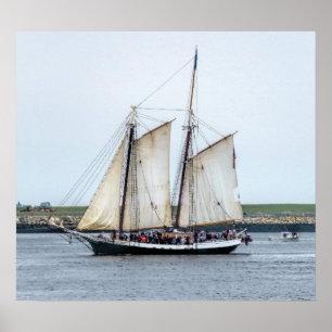 Póster Liberty Clipper