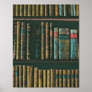 Póster Library lover artwork