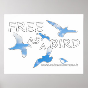 Póster Libre como pájaro