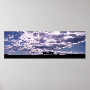 Póster Libremente 2 corrientes