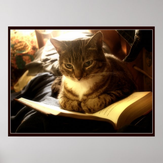 Póster Libro bueno (Frente)