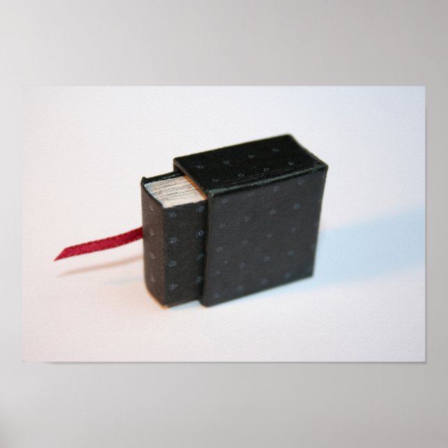 Póster Libro de Artis en miniatura con su Poster de cajas (Frente)