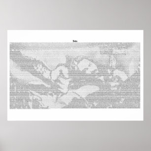 Póster Libro de John (texto completo de KJV)