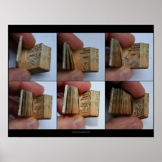 Póster Libro en miniatura de DicofrAngle con Poster de di (Frente)