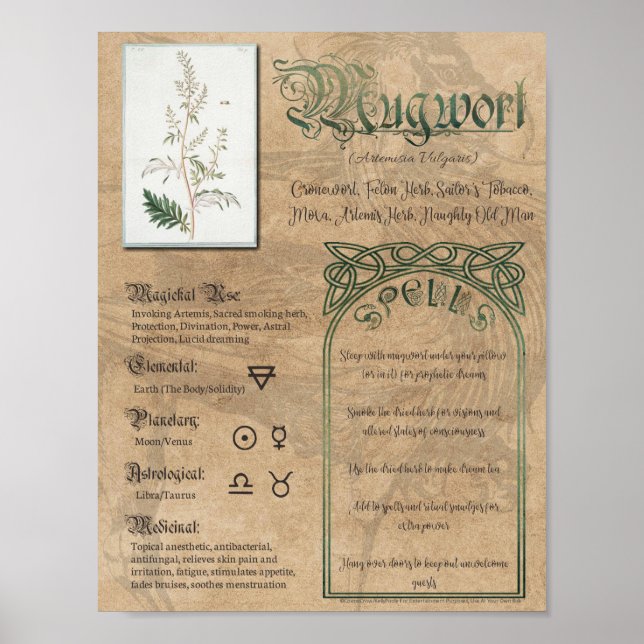 Póster Libro herbal de las sombras de las orugas pagano W (Frente)