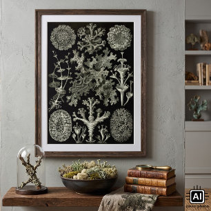 Póster Lichen by Ernst Haeckel, Vintage Nature Plants