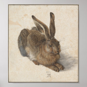Póster Liebres jovenes de Albrecht Durer