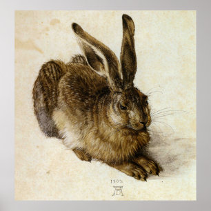 Póster Liebres jovenes del `' por Albrecht Dürer