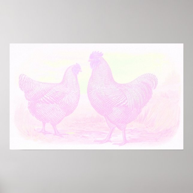 Póster Lienzo de espuma rosada (Frente)