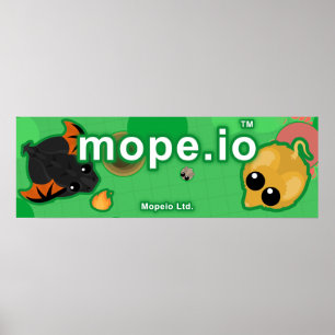 Póster Lienzo oficial de Mope.io