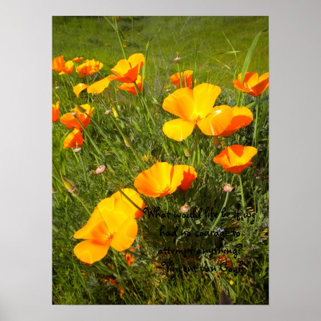 Póster Life (Frente)