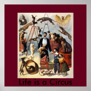 Póster Life is a Circus