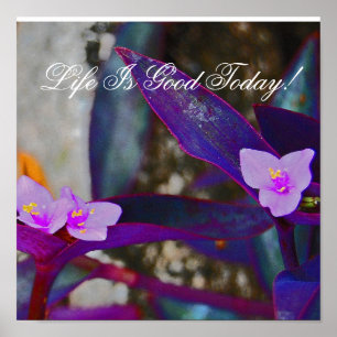 Póster Life Is Good Today!