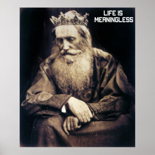 Póster Life is Meaningless