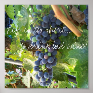 Póster Life is too short...to drink bad wine!