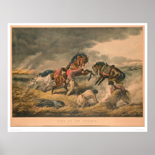 Póster Life on Prairie: Defensa de Trapper (0879A) (Frente)