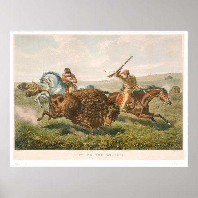 Póster Life on the Prairie: The Buffalo Hunt (0878A) (Frente)