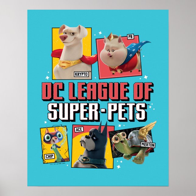 Póster Liga DC de SuperMascotas (Frente)