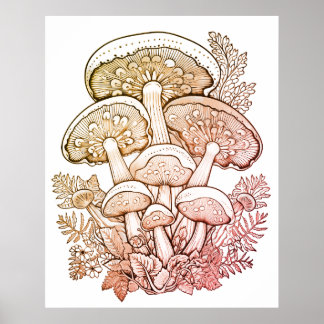 Póster Light Brown Mushrooms on White Background on Wall