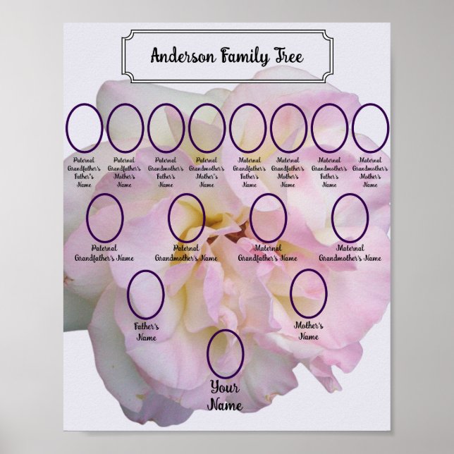 Póster Light Pink Rose Photo with Oval Ancestor Photos (Frente)