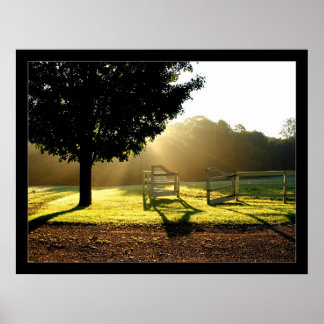 Póster Light Rays 2