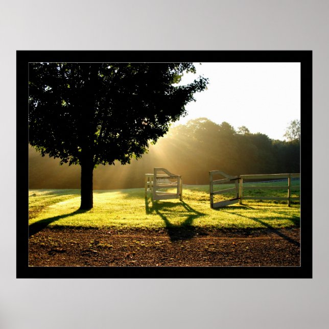 Póster Light Rays 2 (Frente)