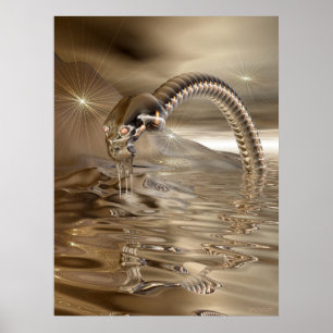 Póster Lightcatcher