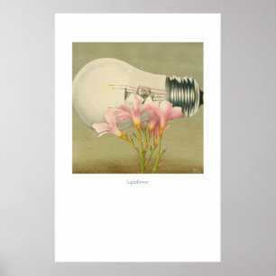 Póster Lightflower