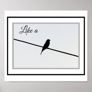 Póster Like a Bird on a Wire