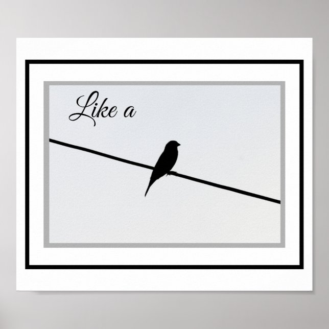 Póster Like a Bird on a Wire (Frente)