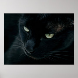Póster Like a black panther