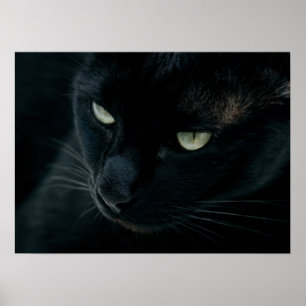 Póster Like a black panther