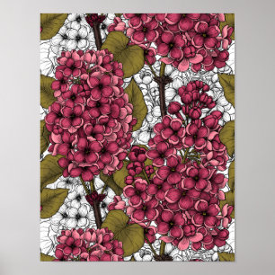 Póster Lilac