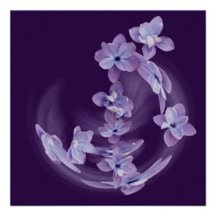 Póster Lilac en círculo