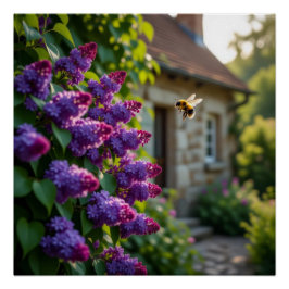 Póster Lilac Flower