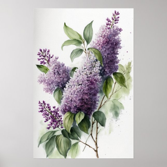 Póster Lilac Flowers Art Print Poster (Frente)