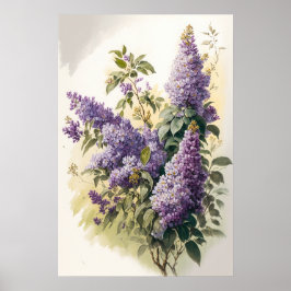 Póster Lilac Flowers Art Print Poster