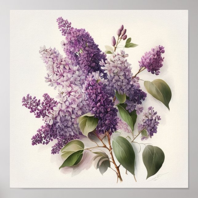 Póster Lilac Flowers Art Print Poster (Frente)