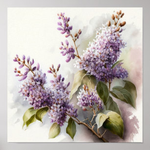 Póster Lilac Flowers Art Print Poster