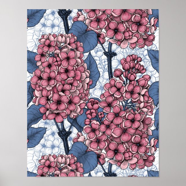 Póster Lilac rosa y azul (Frente)