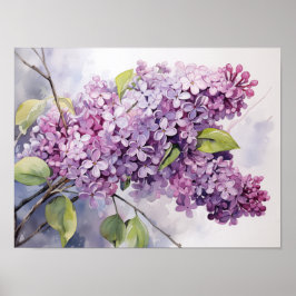 Póster Lilacs